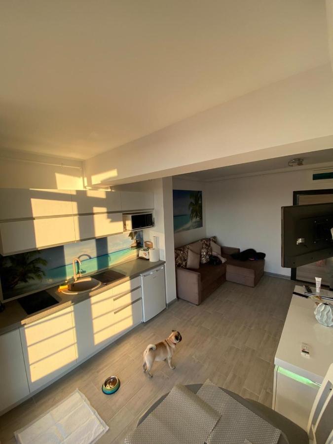 Apartament Edu Beach Resort Navodari Luaran gambar